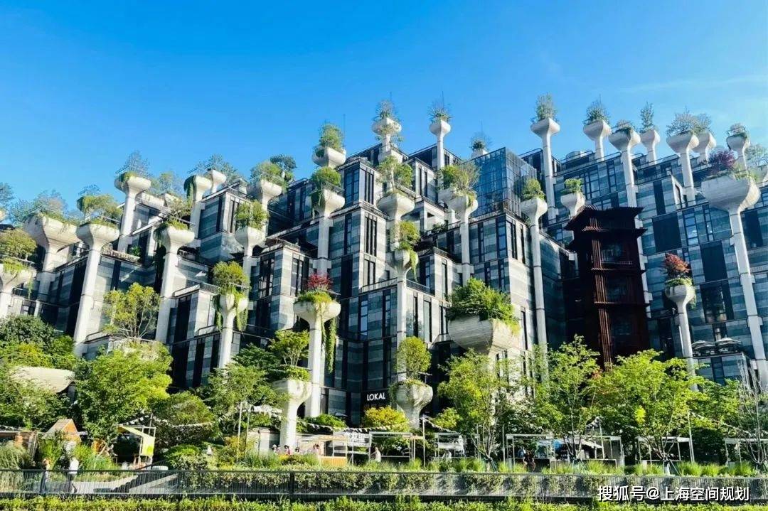 上海又一"空中花园"落地,立体绿化如何助力"花园城市"?