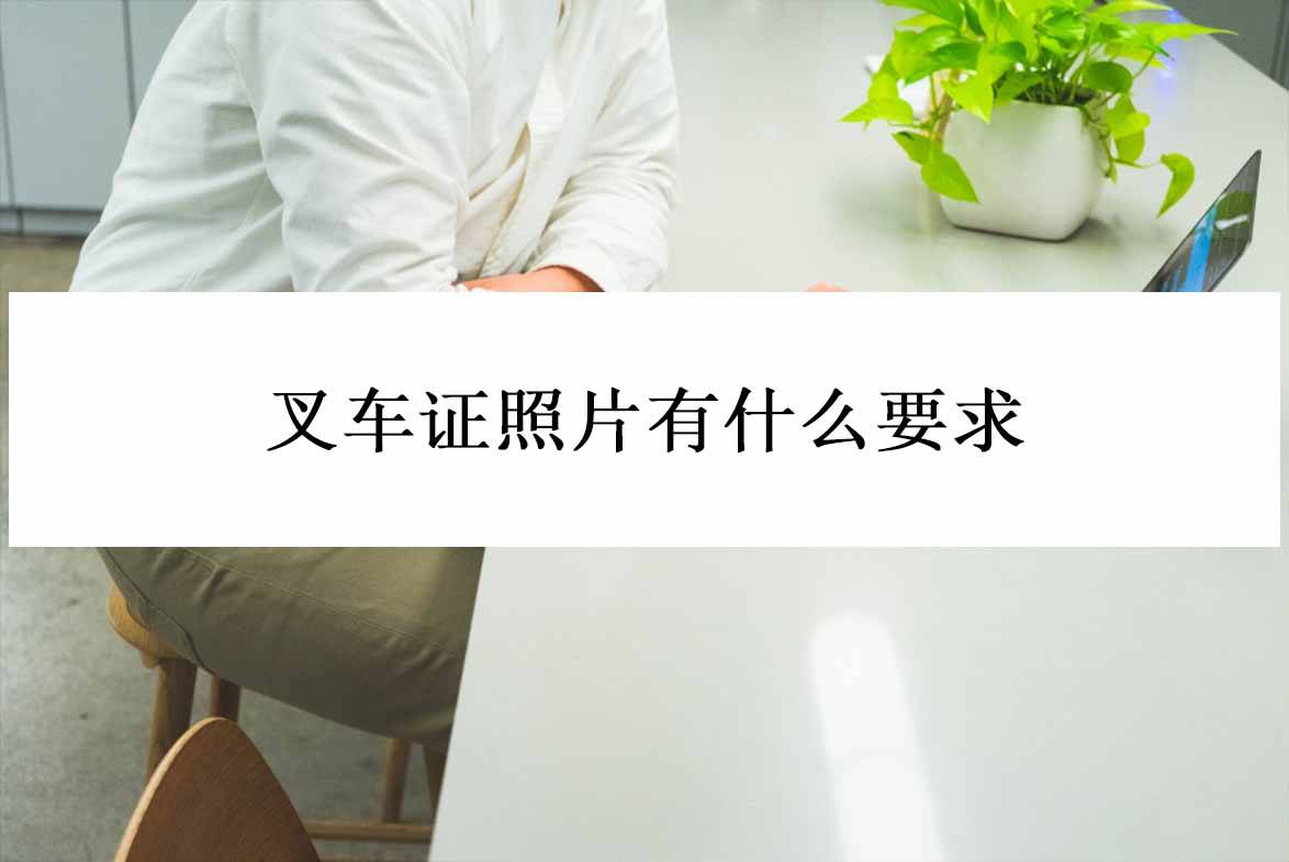 叉车证照片有什么要求?介绍一款自己制作证件照的软件_进行_工作_操作