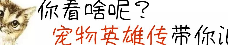 救出了被困住的小猫，可小猫却不愿离开，直到人们救出它的兄弟