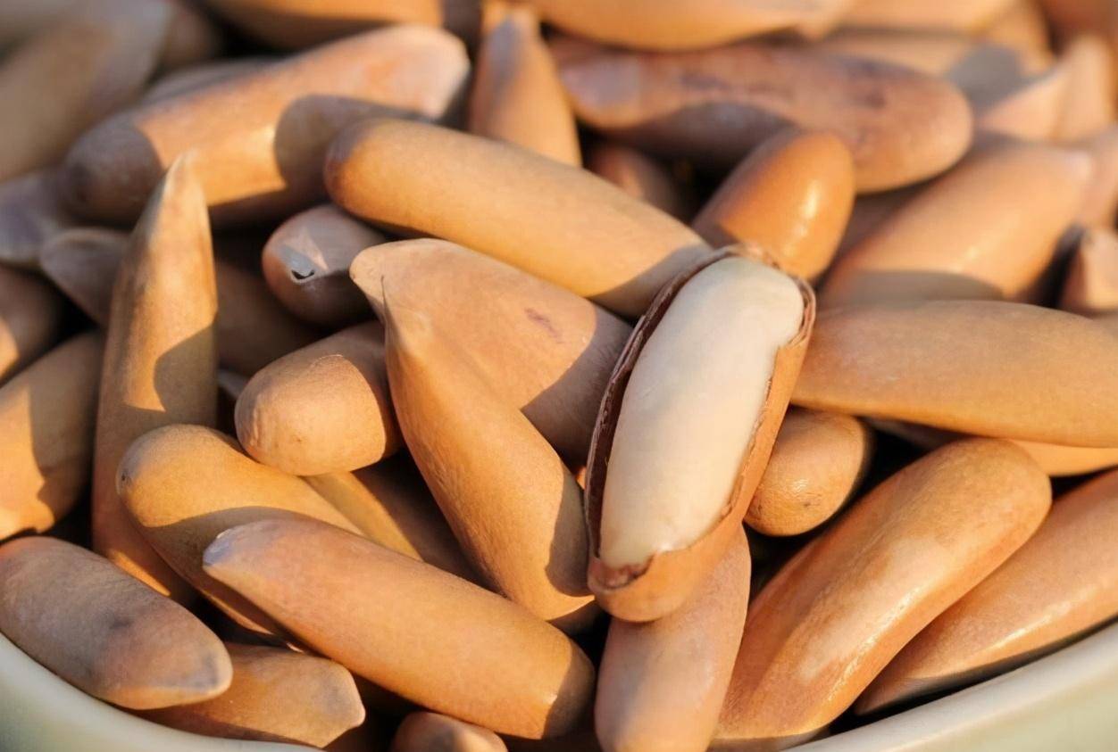 巴西松子不是巴西的?