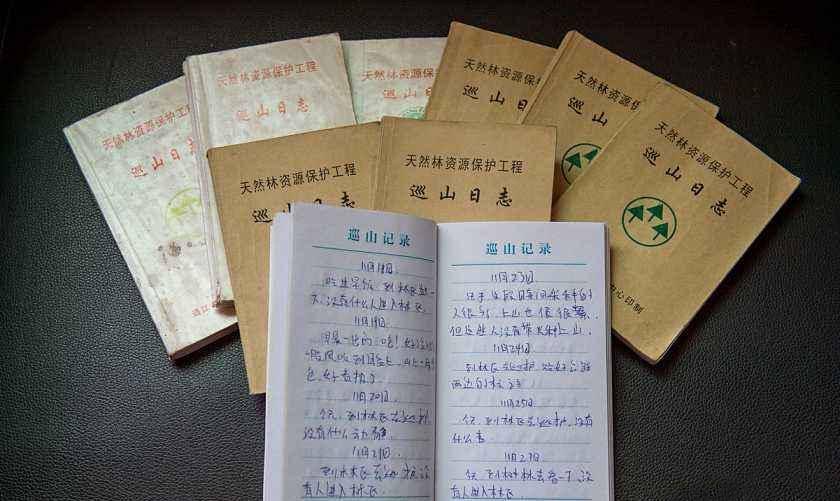 她护林20年,6万公里山路20本巡山日记,种植64万棵树_景祥俊_张志才