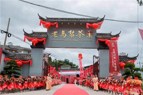 老马帮“庄园启航+七星孔雀发布暨品鉴会”点燃高端普洱消费信心