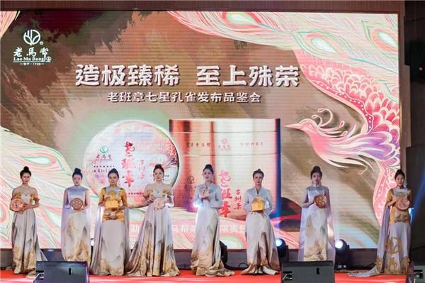老马帮“庄园启航+七星孔雀发布暨品鉴会”点燃高端普洱消费信心