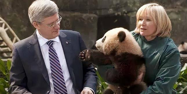 印度向中国租借熊猫,多次被拒后,直接自己"生产"了熊猫_国家_时候