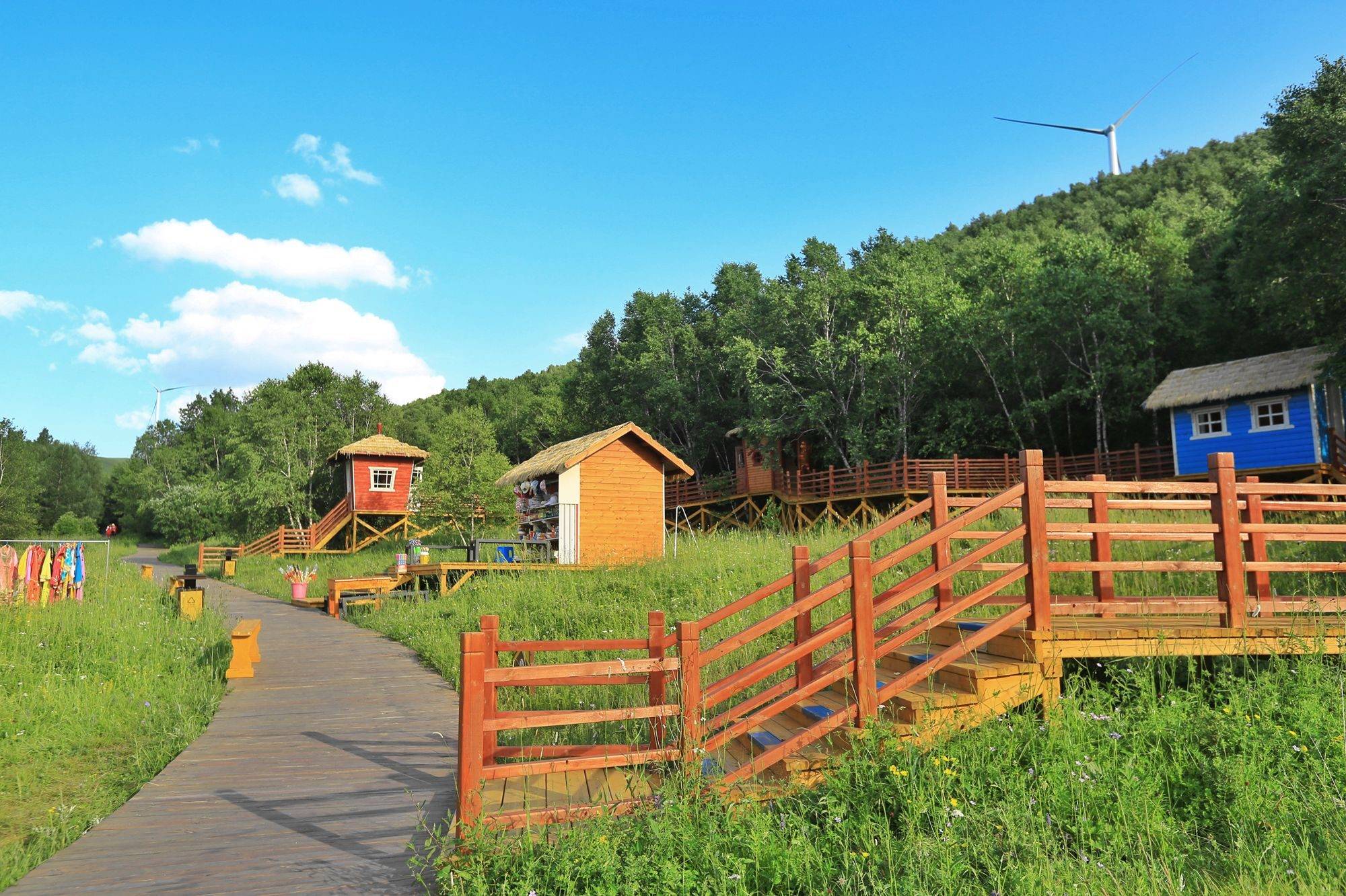承德坝上神仙谷七彩森林,休闲避暑采蘑菇,体验浪漫的童话世界_草原