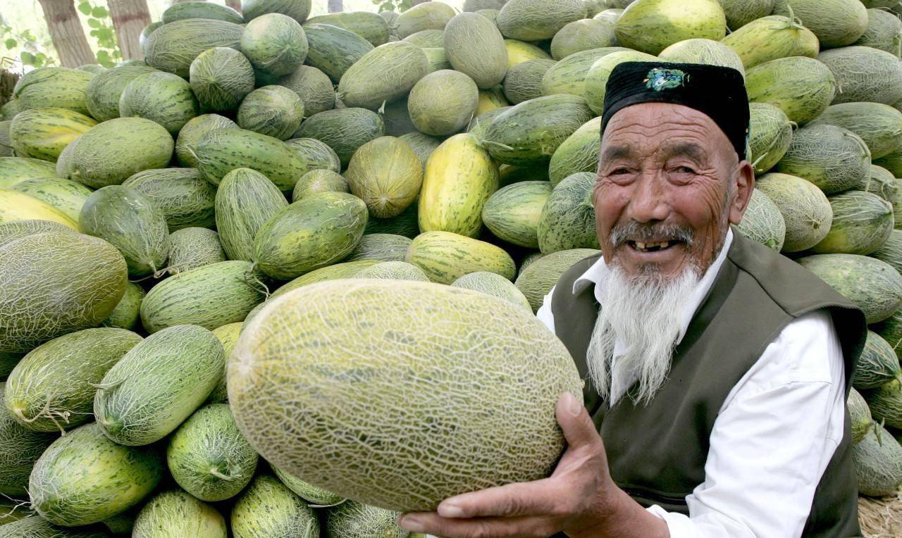 无处不在,有一次,她需要去一个名叫底儿坎乡的地方,寻找新的甜瓜品种