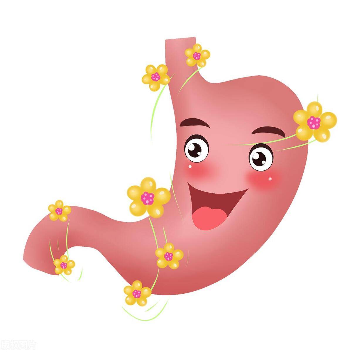 真正养胃的方法是这些!_食物_患者_症状