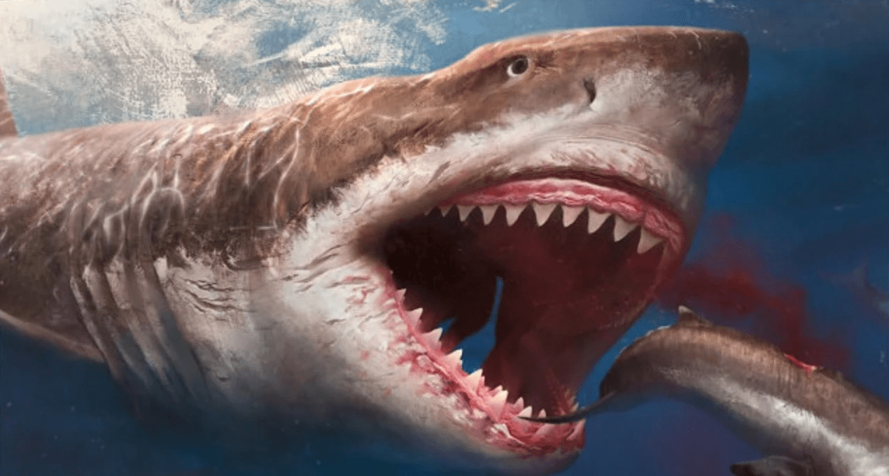 史前巨兽帝鳄,体长12米,咬合力达8吨,若遇到巨齿鲨,谁更强?