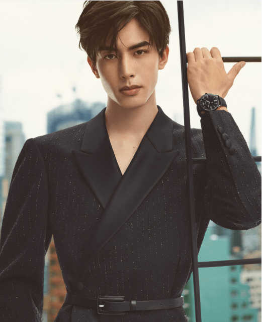 宋威龙才是95生颜值和实绩top!到底什么原因,让于正不愿捧他?