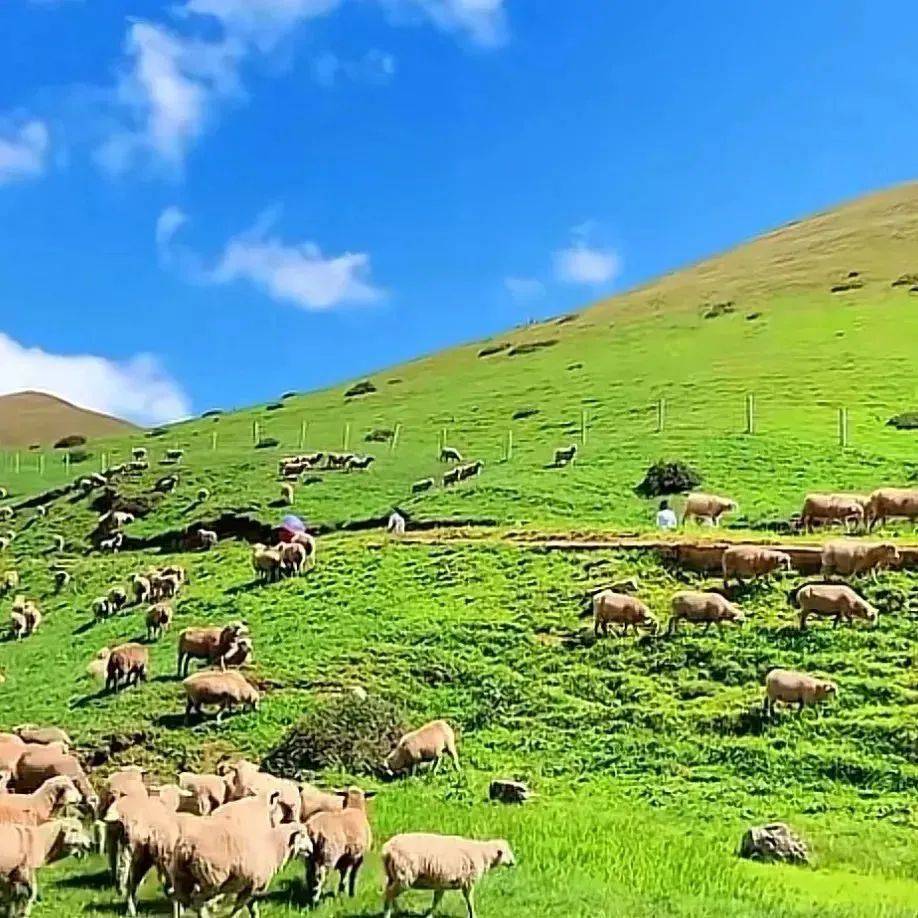 带22你22去22会22泽22看22"海"22_会泽_大海_内蒙古