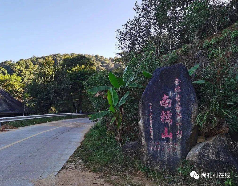 普洱|三十六山|南糯山茶哪家好,半坡老寨最地道_山头_诸葛亮南征_加工