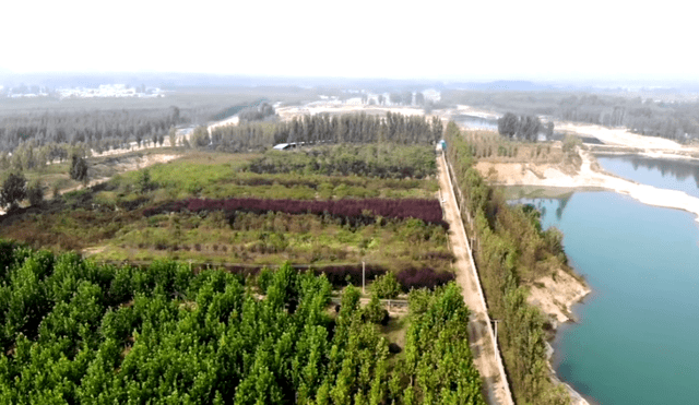 绿化_道路_夏官营镇