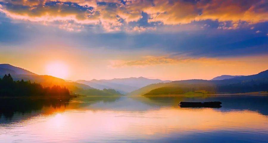 家电业内卷与内斗，美的海尔格力方太万家乐发力海信小米对战-家电圈官网