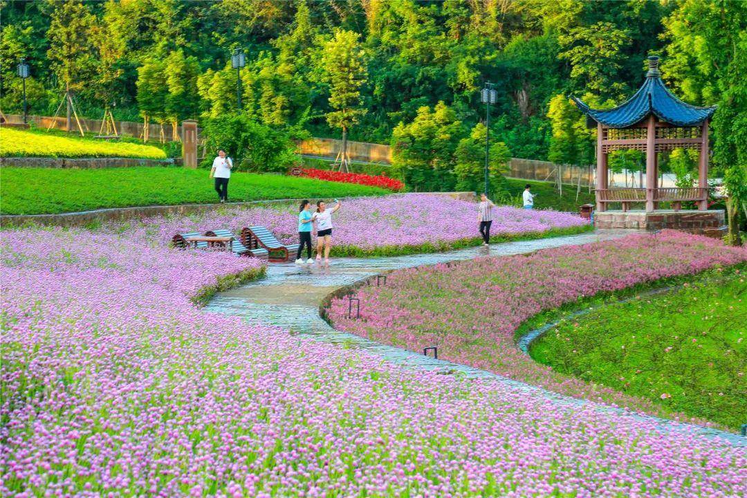 璧山湿地公园景点介绍图片