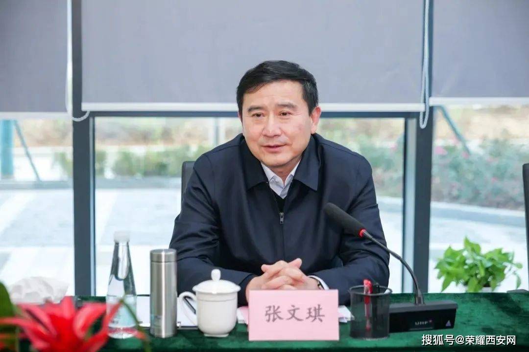 集团_张文琪_企业
