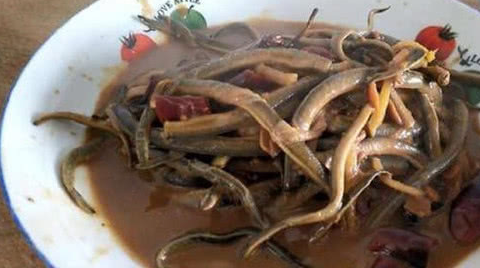 七鳃鳗是一种美味的高级食材,最明显的特征,就是鱼侧边长着七孔腮