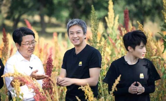成龙三度出发和邓超张蓝心助力怀安张北脱贫致富_星光_扶贫_行动