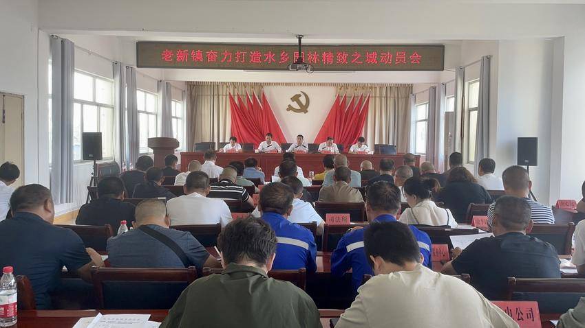潜江市老新镇:全域发力,加快打造水乡园林秀美老新精致城镇