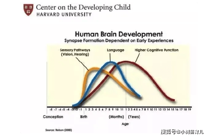 图片[3]-给未来学霸的30堂数学趣味计算课4-8岁必备逻辑思维  百度网盘下载-校汇学习课堂