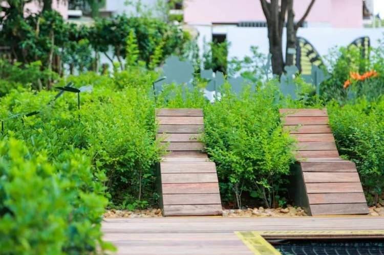 同时,带领着小朋友亲手栽种丝带凤蝶的寄主植物——马兜铃