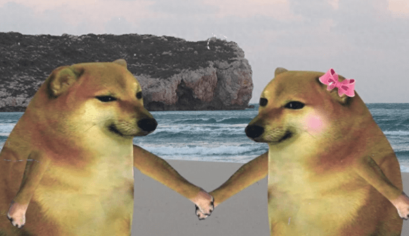 "废柴犬波子"不幸离世,享年12岁,悼念网友超115万,原因曝光_表情_主人