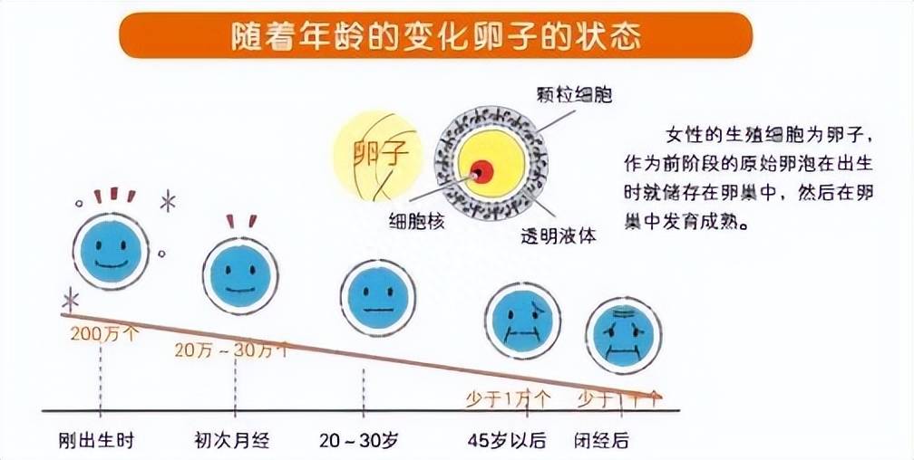 为什么要把35岁定义为高龄产妇？过了这个年龄还想生孩子怎么办