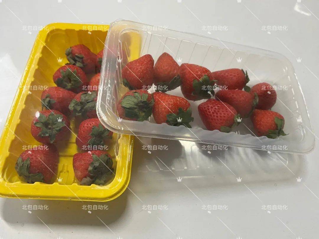 包装_草莓_等离子