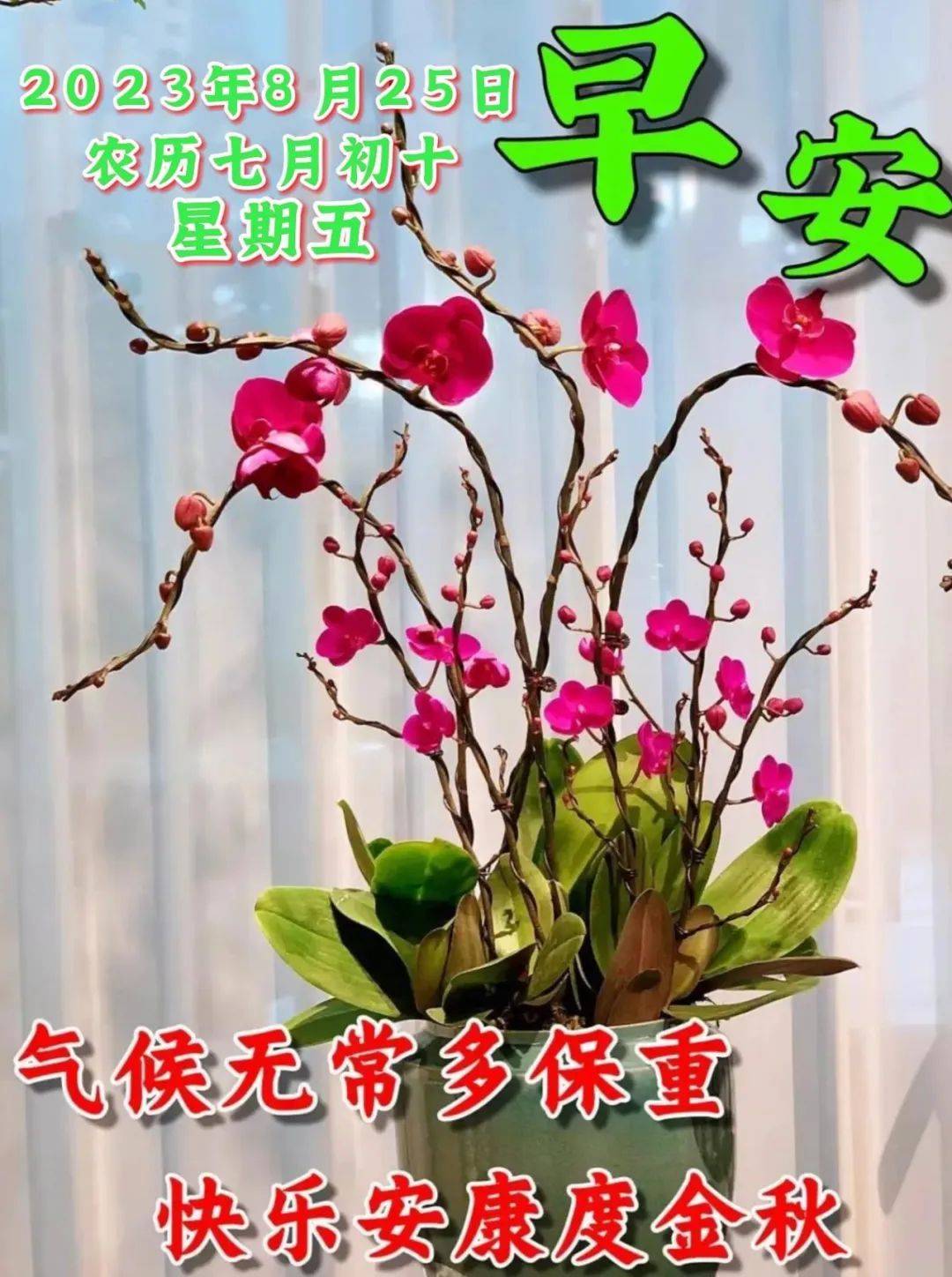 原创            8月25日周五早上好，唯美祝福语图片带字