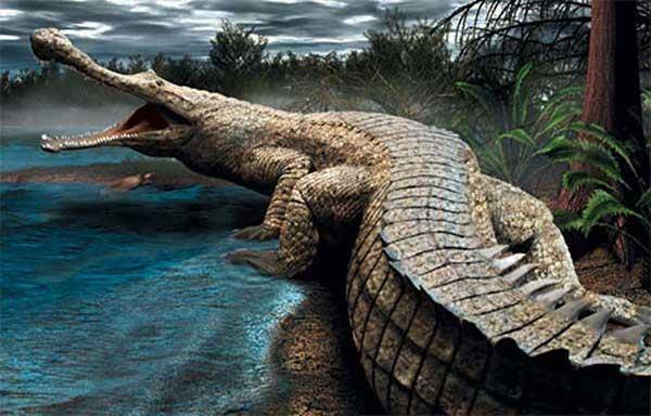 史前巨兽帝鳄:让恐龙都害怕的洪荒猛兽