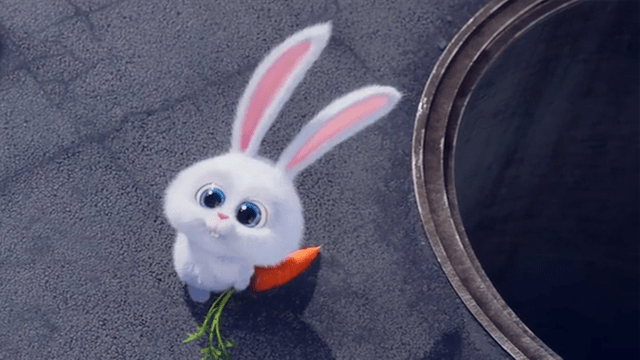雪球兔子 搞笑图片