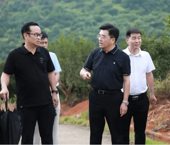 衡阳市委副书记,耒阳市委书记赖馨正 调研神农国油油茶基地_发展_示范