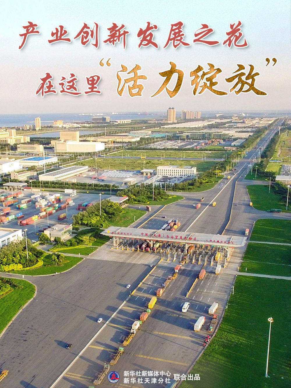 高质量发展调研行|产业创新发展之花在这里"活力绽放"_天津_东疆_物流