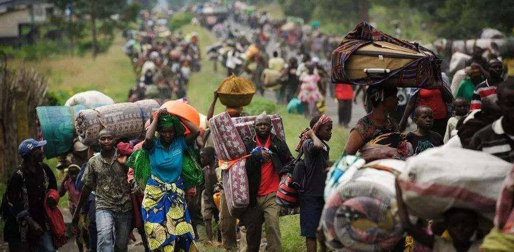 调查报告,指出卷入刚果战争的相关国家涉嫌犯有战争罪行或伤害性行为