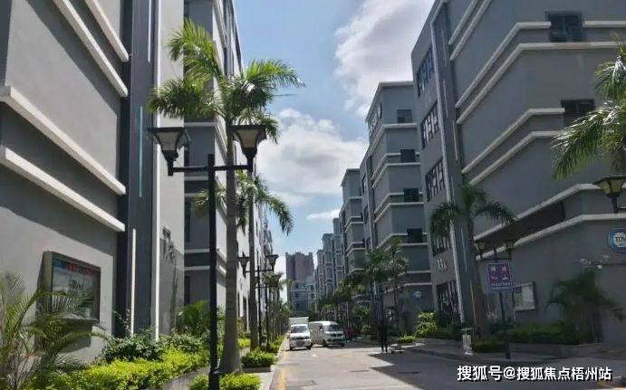 深圳智恒战略性新兴产业园 物业招商 租赁中心 南山区写字楼出租_km