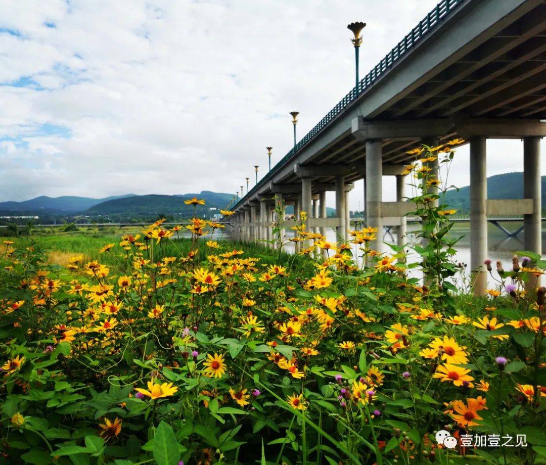 七台河:初秋景色美