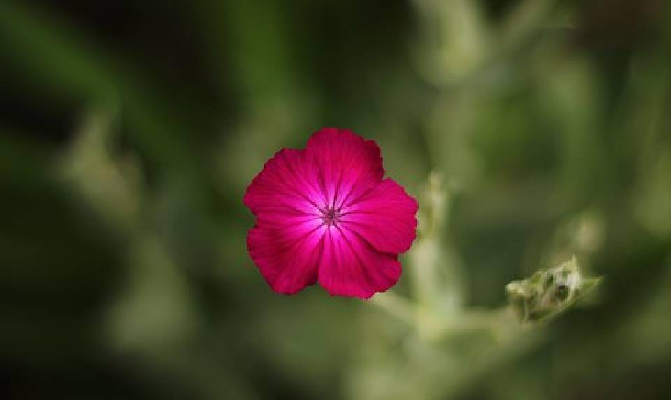 简短又优美的句子，每句话都有内涵，很适合发朋友圈