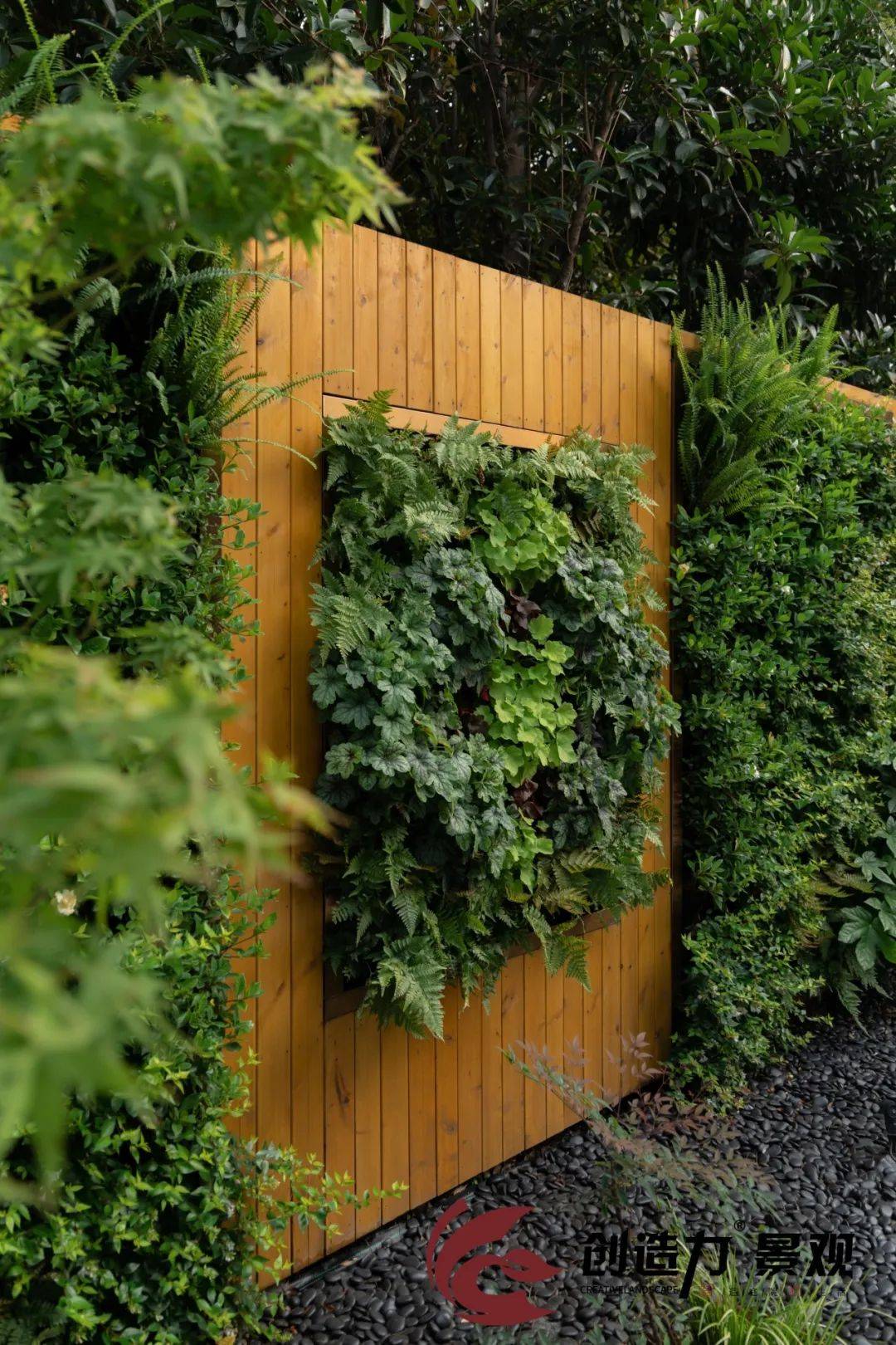 【造花园·植物墙】庭院种植新方式——植物上墙让