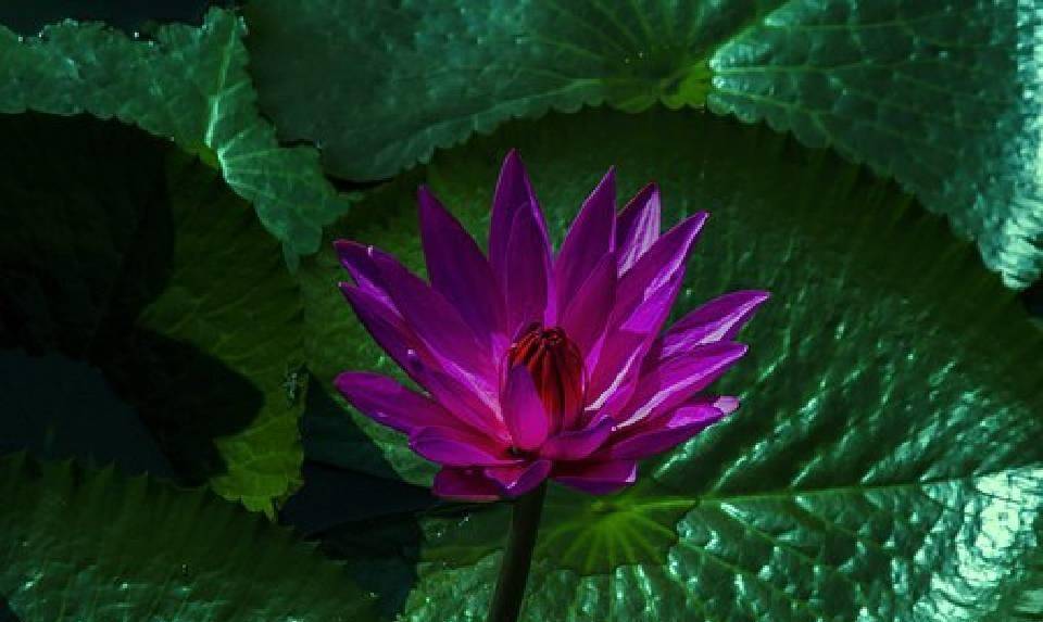 简短又优美的句子，每句话都有内涵，很适合发朋友圈