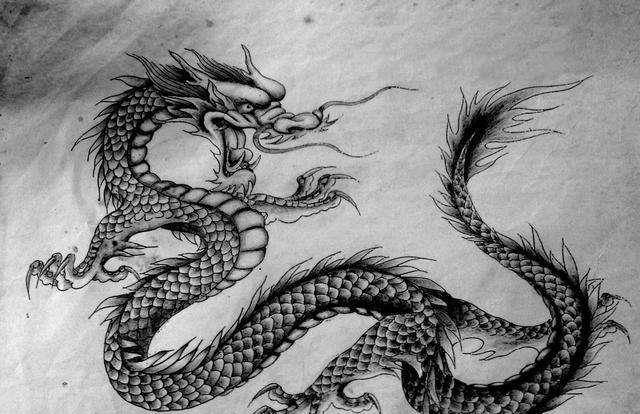 老人主动上交5块龙骨,称9岁见过"真龙",专家鉴定后