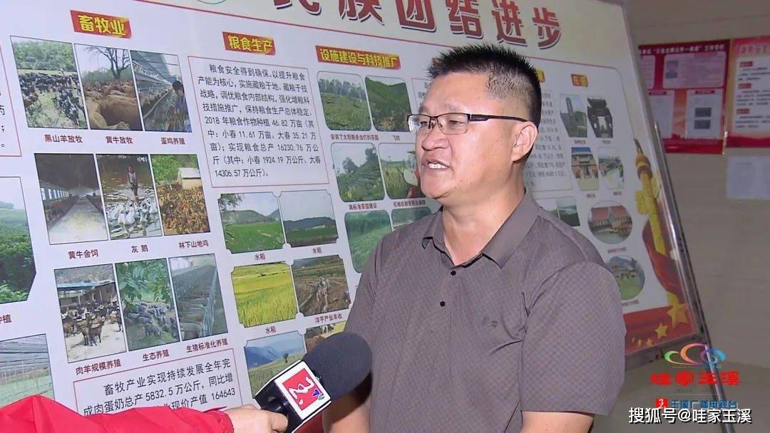 新平县副县长 李盛林:通过设施农业的建设,新平县共培育了农业市场