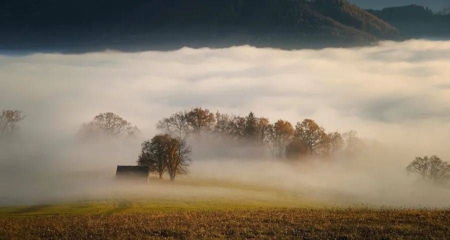家电业的新考题:降价不赚钱、不降又卖不动!-家电圈官网