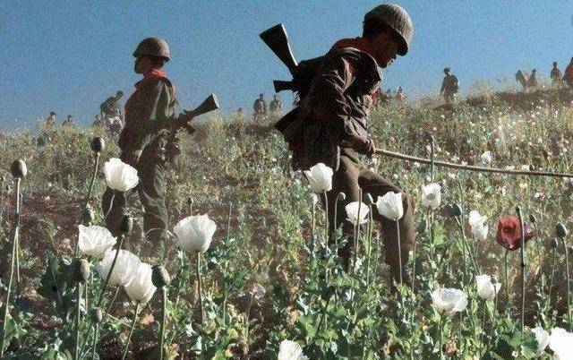 缅甸大毒枭杨金秀:世界首个毒王罗星汉曾是她手下,活