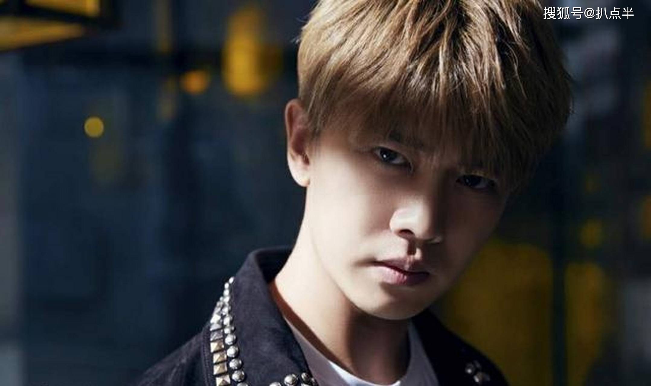 被连累的任嘉伦实惨?