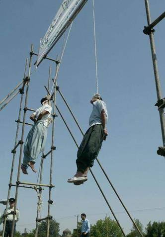 1916年,美国的明星大象玛丽,为何被处以绞刑?