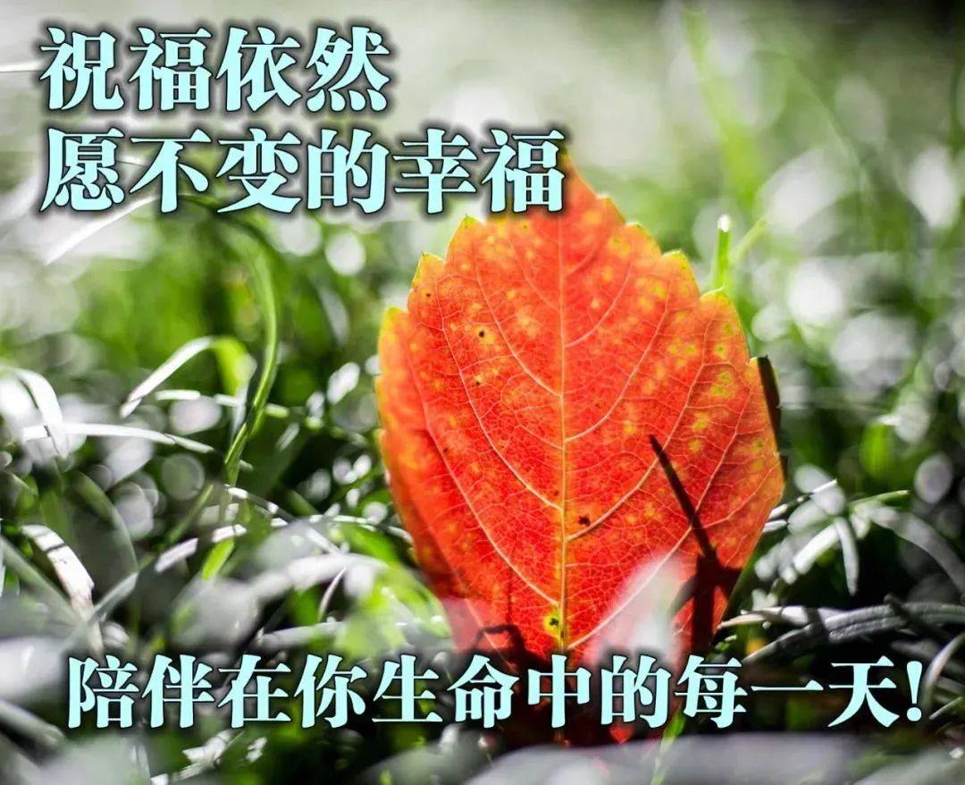 8张漂亮秋天风景早安图片带字带祝福语 好看的秋日风景早上好问候祝福