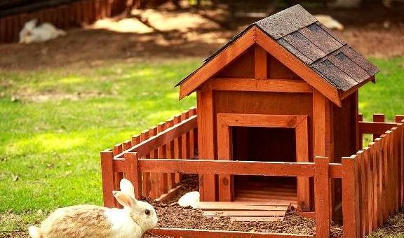 养兔需要专业兔笼,给你介绍这几种专业兔笼_水泥_兔子_金属