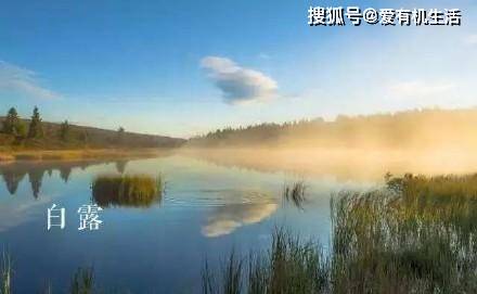 白露是什么意思，白露节气的特点和风俗