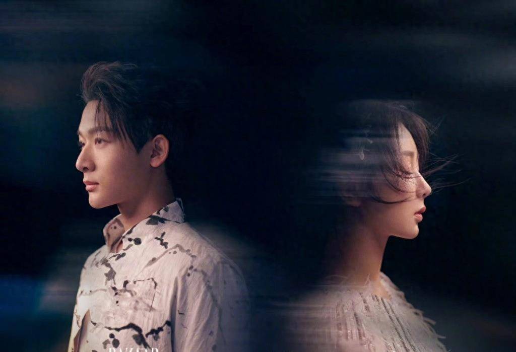 杨紫回应:到此为止!_长相_刘学义_事件