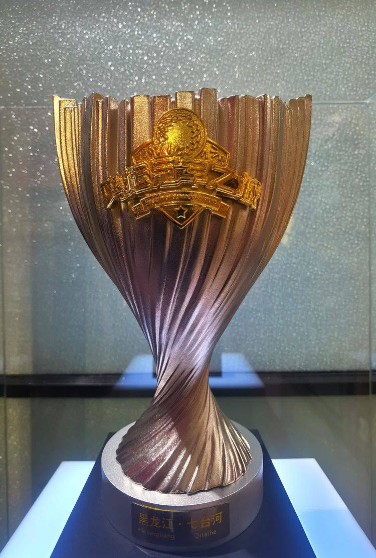 冠军城,冠军梦——七台河抒怀_人生_燃烧_梦想