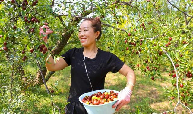 夏县裴介镇鲁因村图片